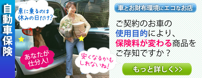 自動車保険